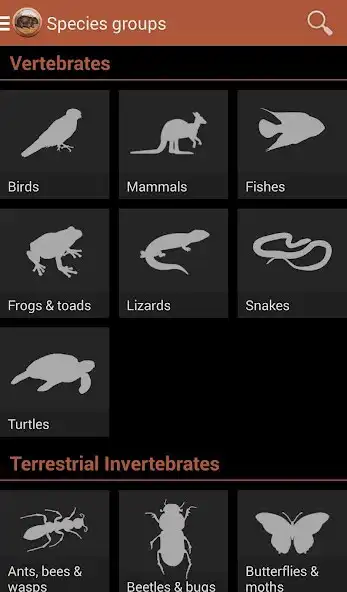 Play Field Guide South Australia as an online game Field Guide South Australia with UptoPlay