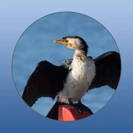 Play Field Guide to Gippsland Lakes APK
