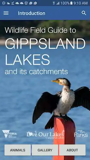 Play Field Guide to Gippsland Lakes  and enjoy Field Guide to Gippsland Lakes with UptoPlay