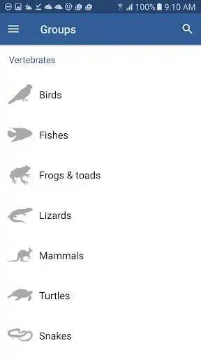 Play Field Guide to Gippsland Lakes as an online game Field Guide to Gippsland Lakes with UptoPlay