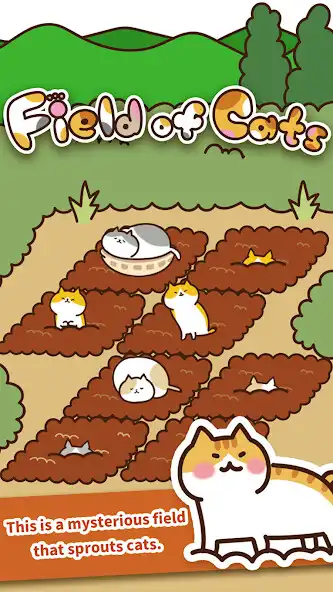 Play Field of Cats