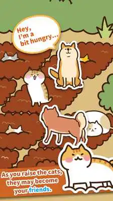 Play Field of Cats