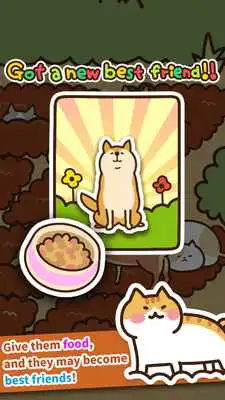 Play Field of Cats