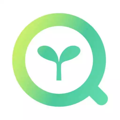 Play Field Watch 2 APK Play Field Watch 2 APK