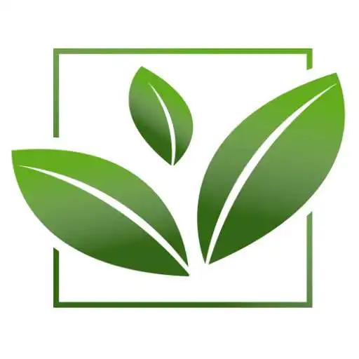 Play FieldWise APK