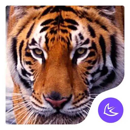 Run free android online Fierce Wild Tiger APUS theme & HD wallpapers APK Run free android online Fierce Wild Tiger APUS theme & HD wallpapers APK