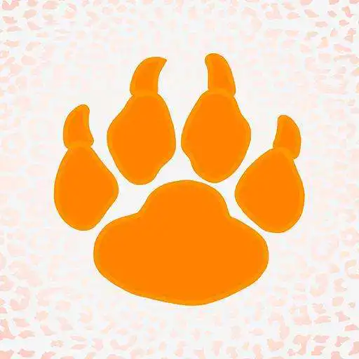 Play Fiesta Animal APK
