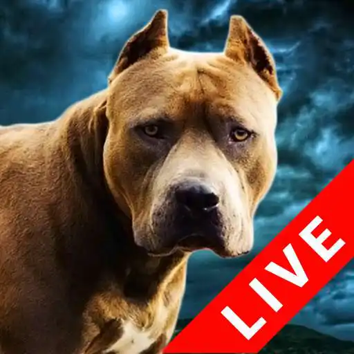 Run free android online Fighting Dogs Live Wallpaper APK