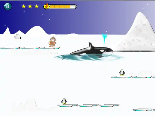 Play Fighting Penguin Play Fighting Penguin