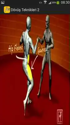 Play Fighting Techniques 2