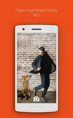 Play Figpix