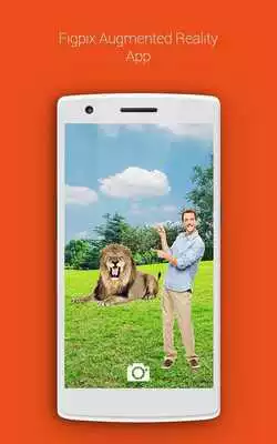 Play Figpix