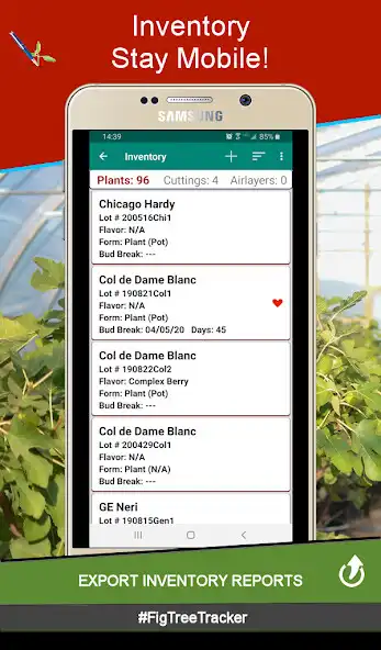 Play Fig Tree Tracker as an online game Fig Tree Tracker with UptoPlay