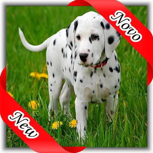 Play Figurinhas de Dalmata APK Play Figurinhas de Dalmata APK