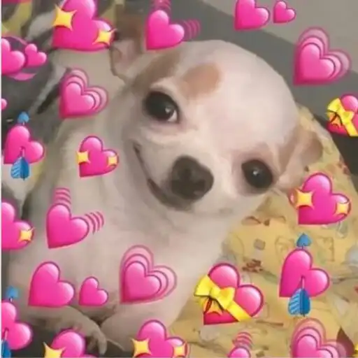 Play Figurinhas memes Apaixonados APK Play Figurinhas memes Apaixonados APK