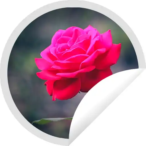 Play Figurinhas Perfeitas de Rosas - WAStickerApps APK Play Figurinhas Perfeitas de Rosas - WAStickerApps APK