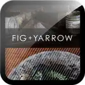 Free play online FIG+YARROW APK