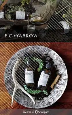 Play FIG+YARROW Play FIG+YARROW