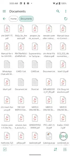 Play File Organizer - Lite as an online game File Organizer - Lite with UptoPlay