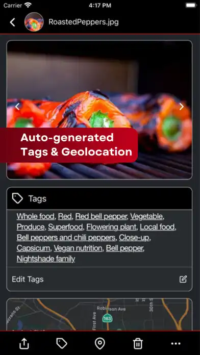 Play FileShadow as an online game FileShadow with UptoPlay
