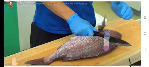 Play Fillet the red sea bream  and enjoy Fillet the red sea bream with UptoPlay