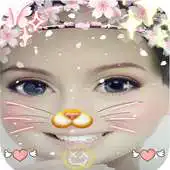 Free play online filters for snapcat catchat 2018 APK