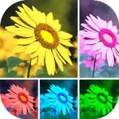 Free play online Filters-Photo Filter Effects APK