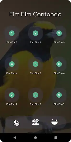 Play Fim Fim Cantando  and enjoy Fim Fim Cantando with UptoPlay