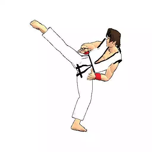 Run free android online Final Karate (free) APK Run free android online Final Karate (free) APK