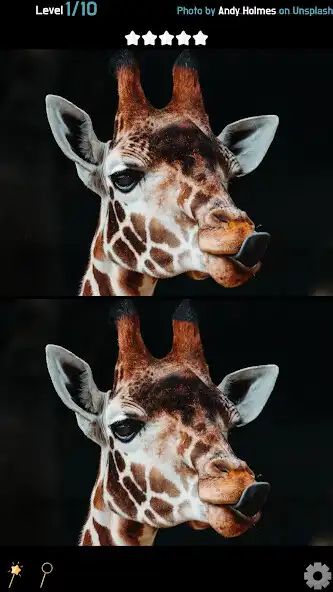 Play Find 5 Differences - Animals  and enjoy Find 5 Differences - Animals with UptoPlay
