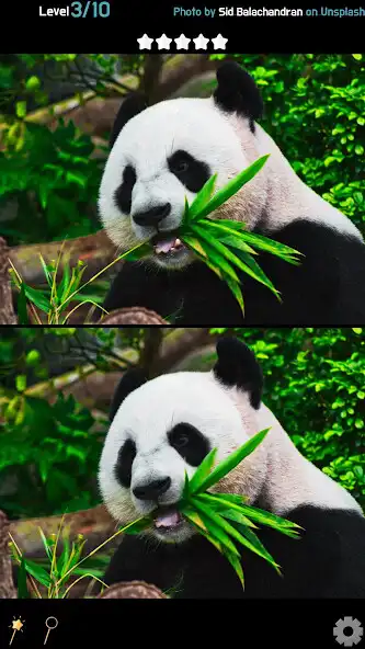 Play Find 5 Differences - Animals as an online game Find 5 Differences - Animals with UptoPlay