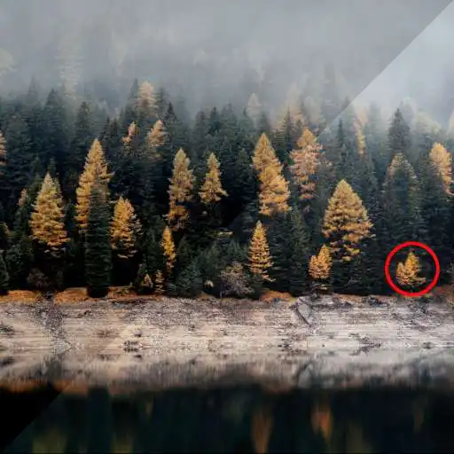Play Find 5 Differences - Nature APK Play Find 5 Differences - Nature APK