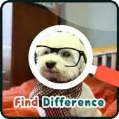 Free play online Find 5 Differences : Puppies APK