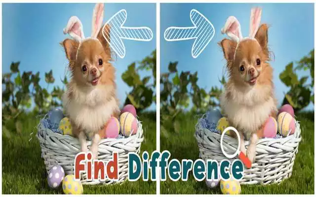 Play Find 5 Differences : Puppies