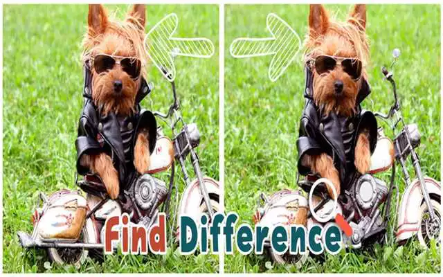Play Find 5 Differences : Puppies