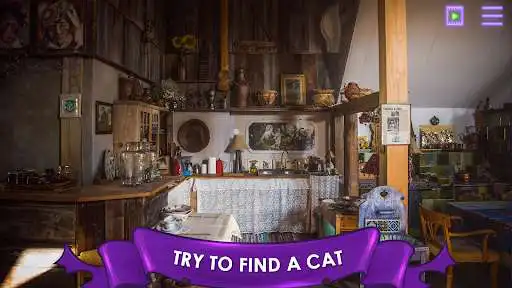 Play Find a Cat: Hidden Object  and enjoy Find a Cat: Hidden Object with UptoPlay