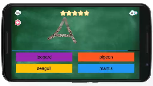 Play Findanimals