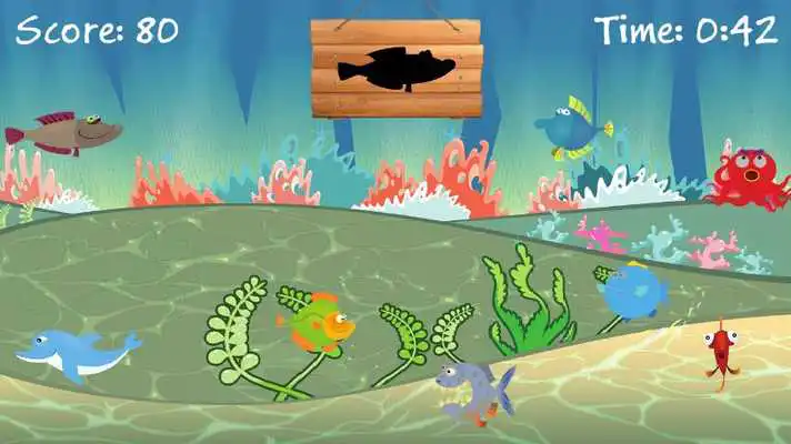 Play Findanimals