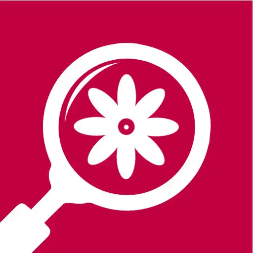 Play Find by Image (Search by Photo) APK