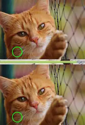 Play Find Difference 49 Play Find Difference 49