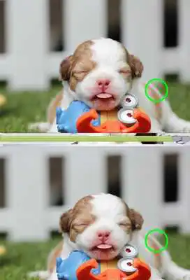 Play Find Difference 89