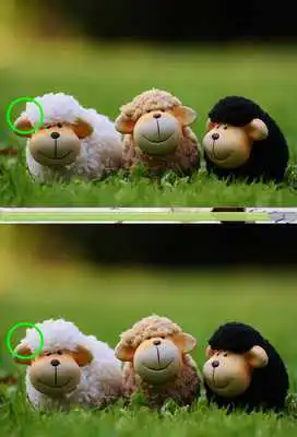 Play Find Difference 89