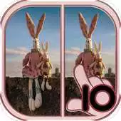 Free play online Find Difference a doll APK