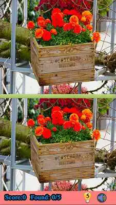 Play find difference between 2 pictures