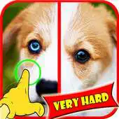 Free play online Find Difference Dog Games APK
