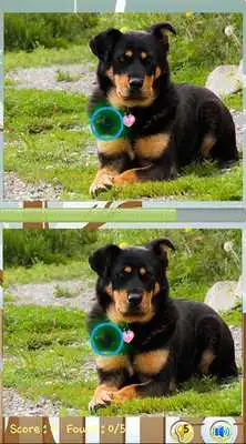 Play Find Difference Dog Games Play Find Difference Dog Games