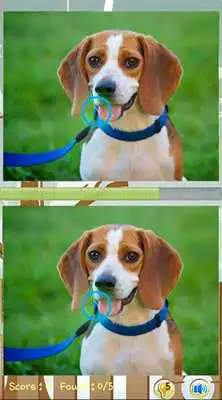 Play Find Difference Dog Games Play Find Difference Dog Games