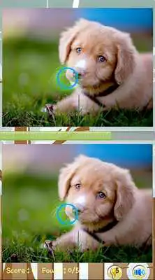 Play Find Difference Dog Games Play Find Difference Dog Games