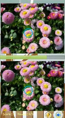 Play Find Difference Flower 2016 Play Find Difference Flower 2016