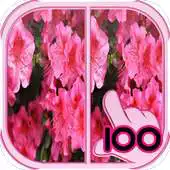 Free play online Find Difference flower Game APK